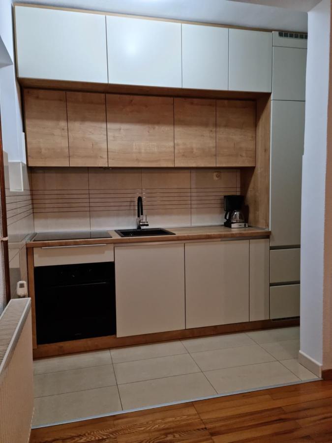 Apartment Nina 노비비노돌스키 외부 사진